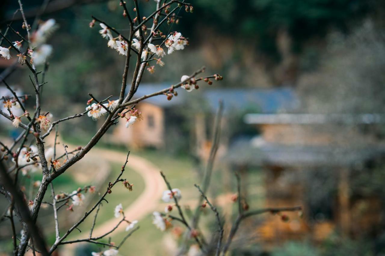 House By Lake Moc Chau Exterior foto